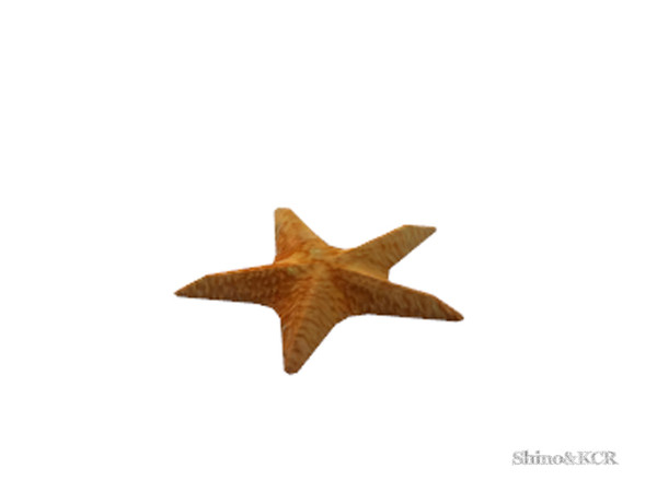 Sims 4 — Study Sara - Starfish on Surface by ShinoKCR — Study Furniture giving you a beachy feeling find it in Clutter
