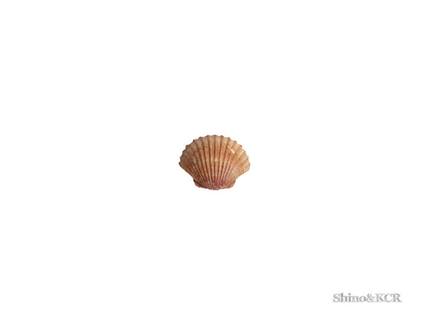 Sims 4 — Study Sara - Scallope Shell on Surface by ShinoKCR — Study Furniture giving you a beachy feeling find it in