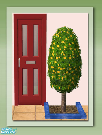 Sims 2 — Egg Shrub -  Yellow Flowers by Shakeshaft — Part of a set of Shrubs to add architecture and colour to your sims