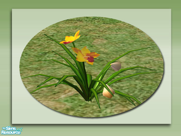 Sims 2 — Garden Orchids - Yellow by Shakeshaft — Part of a colourful set of Orchids to brighten up your Sims gardens,