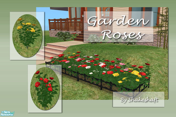 Sims 2 — Garden Roses by Shakeshaft — A set of colourful roses to brighten up your Sims garden, you can place several on