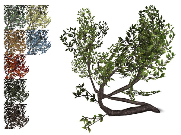 Sims 4 — Low Tree by sim_man123 — A small tree growing low to the ground. Can be placed directly on the ground, or also