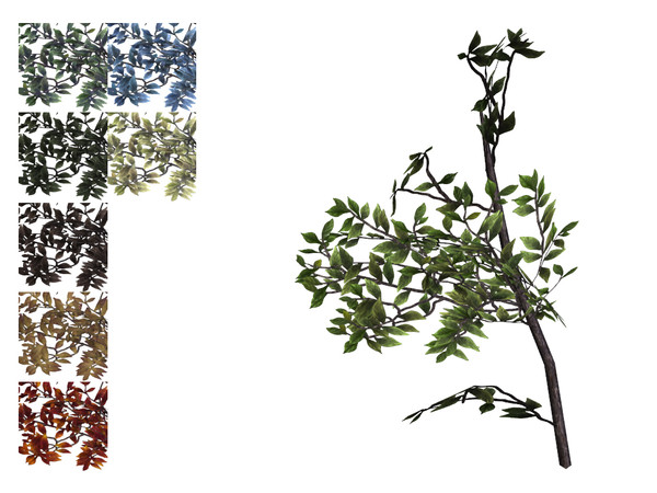 Sims 4 — Short Bush by sim_man123 — A small, scrubby little bush. 