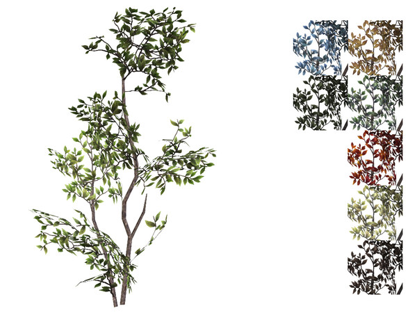 Sims 4 — Tall Bush by sim_man123 — A tall, scrubby bush.