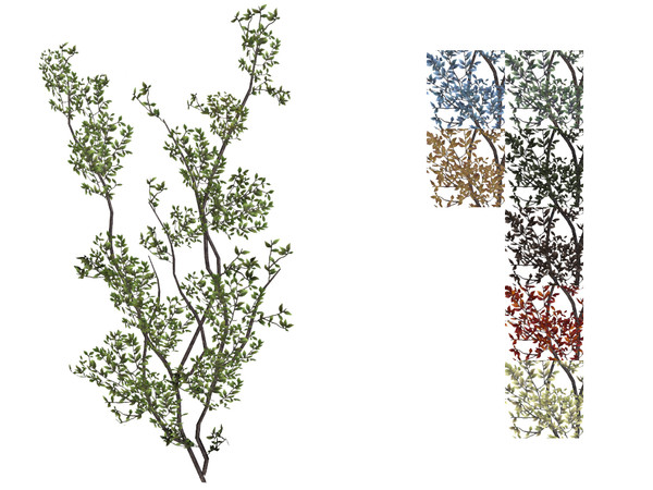 Sims 4 — Tall Vine by sim_man123 — A tall cluster of vines growing up the side of a building.