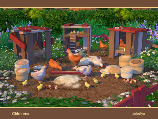 Sims 4 — Chickens by soloriya — A set of chickens for your farms. Includes 10 objects. Items in the