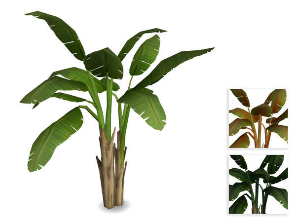 Sims 4 — Banana Tree by sim_man123 — This is a slightly altered version of my Deja Banana Tree with the pot removed for