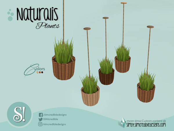 Sims 4 — Naturalis Hanging plant small by SIMcredible! — by SIMcredibledesigns.com available at TSR 3 colors variations