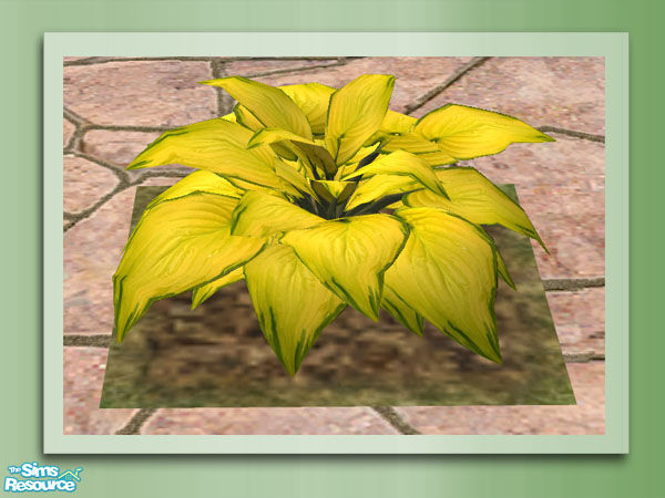 Sims 2 — Garden Rockery - Hosta by Shakeshaft — Part of the Garden Rockery Set, build a colourful rockery for your sims