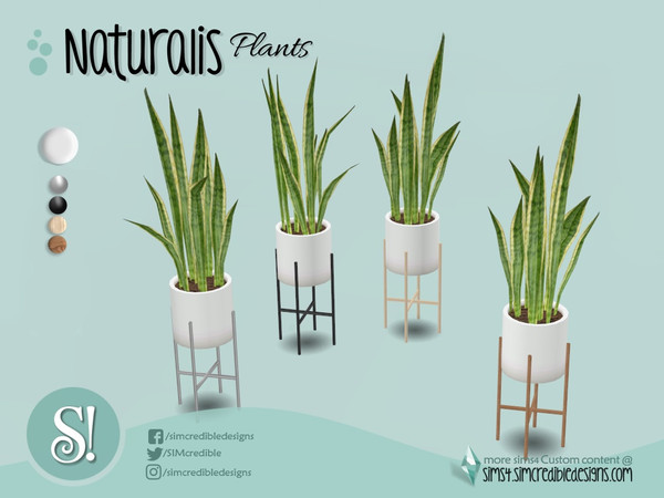 Sims 4 — Naturalis office plant 2 by SIMcredible! — by SIMcredibledesigns.com available at TSR 4 colors variations