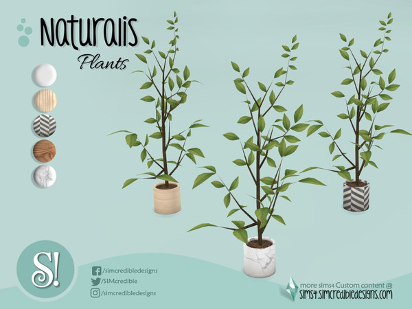 Sims 4 — Naturalis office plant 3b by SIMcredible! — by SIMcredibledesigns.com available at TSR 5 colors variations