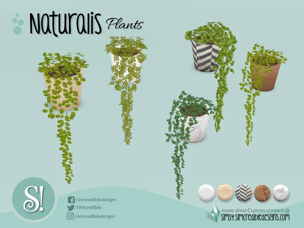 Sims 4 — Naturalis Office plant 5 by SIMcredible! — by SIMcredibledesigns.com available at TSR 5 colors in + variations
