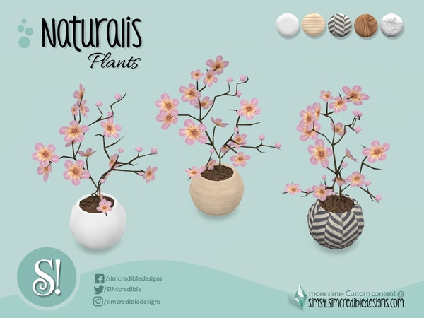 Sims 4 — Naturalis Office flower by SIMcredible! — by SIMcredibledesigns.com available at TSR 5 colors variations