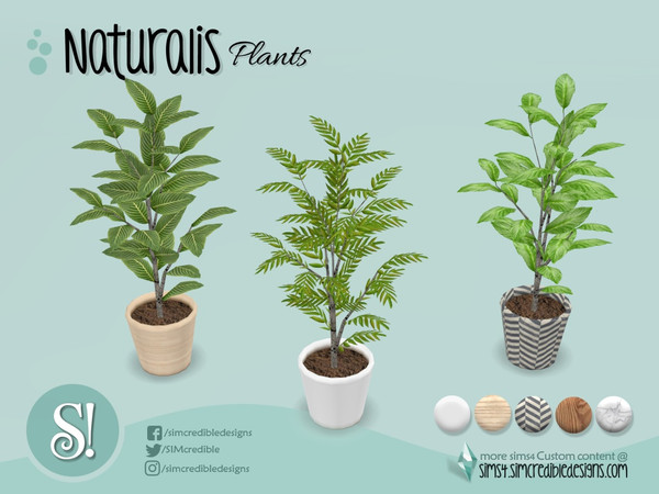 Sims 4 — Naturalis office plant 7 by SIMcredible! — by SIMcredibledesigns.com available at TSR 5 colors in + variations