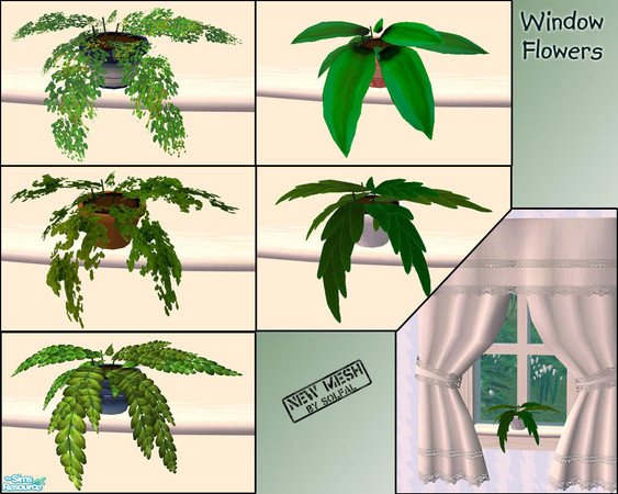 Sims 2 — Window Flowers by solfal — Flowers you can put on my window sills