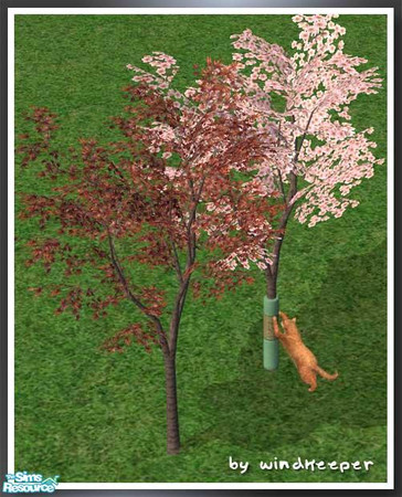 Sims 2 — Maple Minitree by Windkeeper — Linked to original Maple tree for colors. Designed specifically to work with