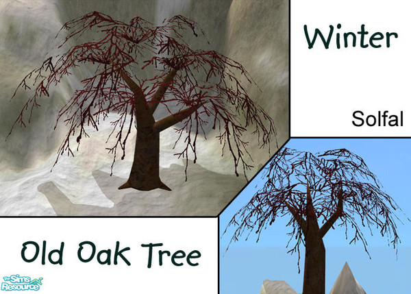 Sims 2 — Old Oak Winter by solfal — Winter Oak