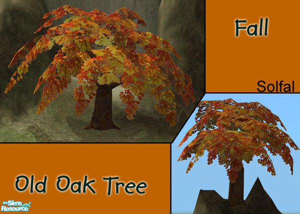 Sims 2 — Old Oak Fall by solfal — Fall oak