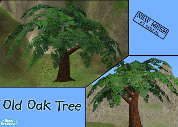 Sims 2 — Old Oak Summer Mesh file by solfal — Summer oak
