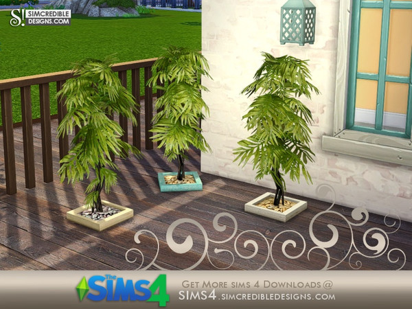 Sims 4 — Breezy potted tree by SIMcredible! — by SIMcredibledesigns.com available at TSR __________________ * 3 colors