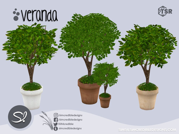 Sims 4 — Veranda potted tree by SIMcredible! — by SIMcredibledesigns.com available at TSR 4 colors + variations 