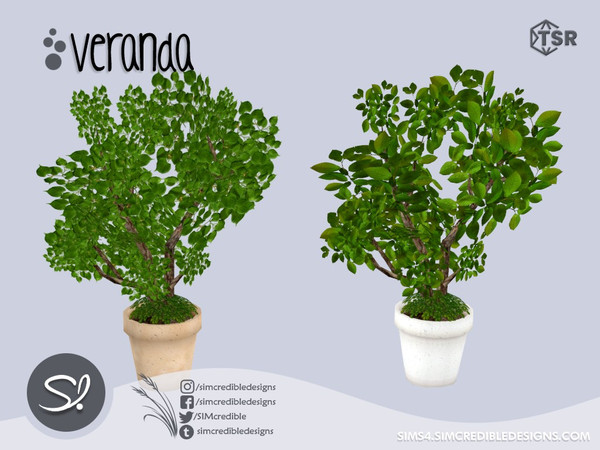 Sims 4 — Veranda potted tree 2 by SIMcredible! — by SIMcredibledesigns.com available at TSR 4 colors + variations