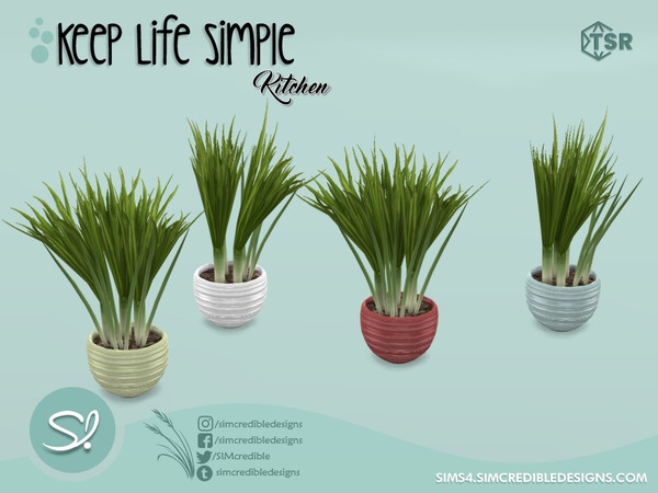 Sims 4 — Keep Life Simple Kitchen Green Onion by SIMcredible! — it's actually chives but we didn't know its correct name