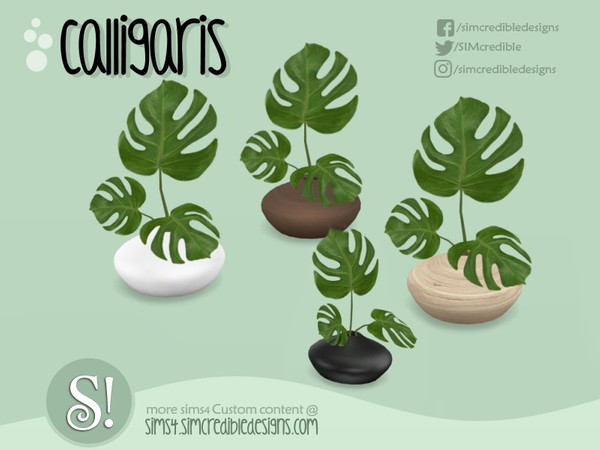 Sims 4 — Calligaris plant - Philodendron by SIMcredible! — by SIMcredibledesigns.com available at TSR 4 colors variations