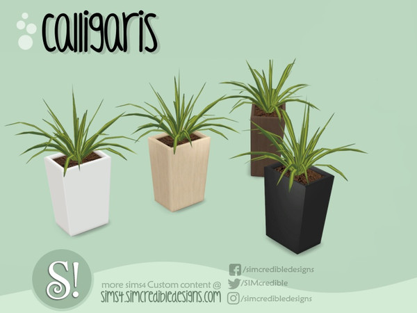 Sims 4 — Calligaris plant 2 by SIMcredible! — by SIMcredibledesigns.com available at TSR 4 colors variations