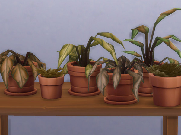Sims 4 — Dead Plants by jasey234 — 2 dead Base Game plants