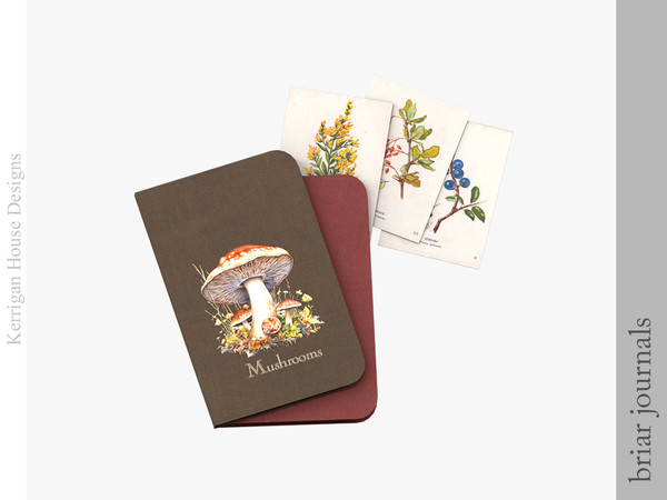 Sims 4 — Briar Journals by kerriganhouse — Cute and cozy stationery decor.
