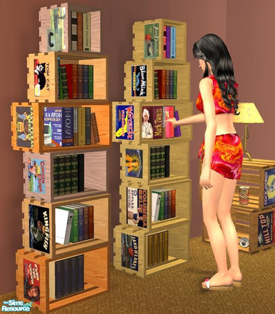 Sims 2 — Crate Bookshelves by Dr Pixel — A very low-budget bookshelf, made by stacking up old produce crates. No