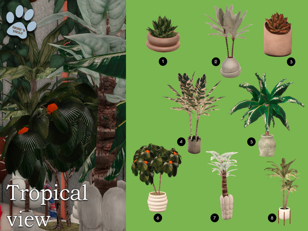 Sims 4 — Tropical View by siomisvault — Tropical View is a set full of plants for all kind of rooms I hope you like it!