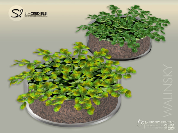 Sims 4 — Walinsky Plant by SIMcredible! — Call your sim friends for dinner and show off this elegant fashion new dining