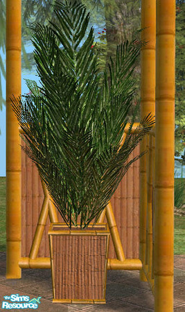Sims 2 — Tropical Patio Retreat - Palm Planter by Simaddict99 — NOTE: this is a slave file and requires the matching