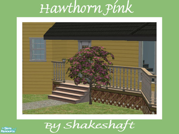 Sims 2 — Hawthorn Tree - Pink by Shakeshaft — Part of a set of Hawthorn Trees, set includes 1 New Mesh and 3 Recolours.