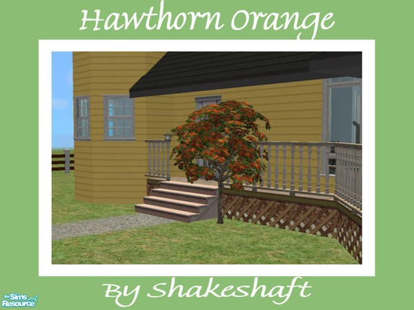 Sims 2 — Hawthorn Tree - Orange by Shakeshaft — Part of a set of Hawthorn Trees, set includes 1 New Mesh and 3 Recolours.