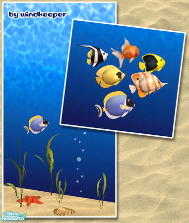 Sims 2 — CBA tropical fish 1 mesh 1 by Windkeeper — <strong>- MASTER MESH -</strong> Some other meshes from this set are