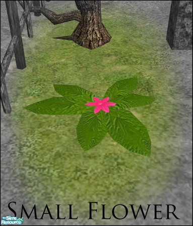 Sims 2 — Graveyard Set - Small Flower by sim_man123 — A small ground cover-like flower, adds a slightly overgrown look to