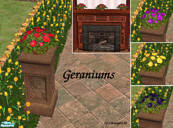 Sims 2 — Geraniums by chrissy6930 — Geraniums in two sizes.