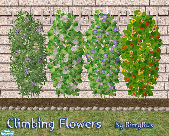 Sims 2 — Climbing Flowers by Bitzybus — Misc. climbing flowers. Set includes 2 new meshes ("real" plant and