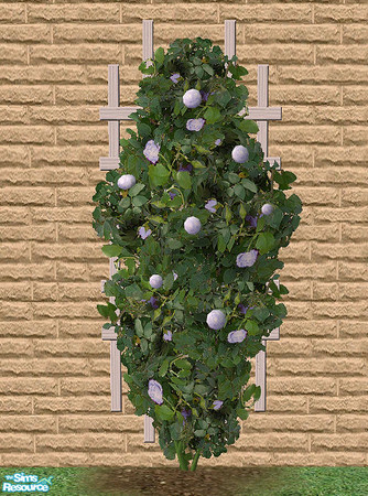 Sims 2 — Climbing Roses - Light Blue by Bitzybus — Recolor of the climbing rose.