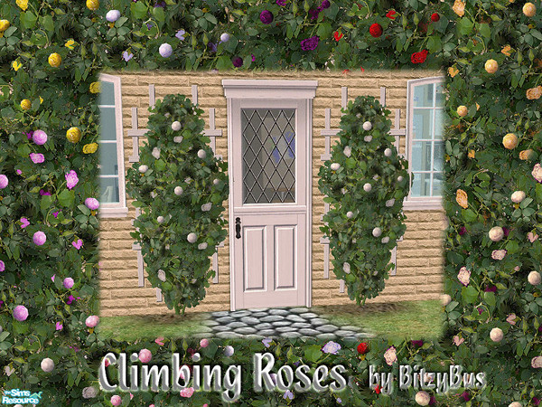 Sims 2 — Climbing Roses by Bitzybus — A set of wall climbing roses, one needs watering and the other one is decorative