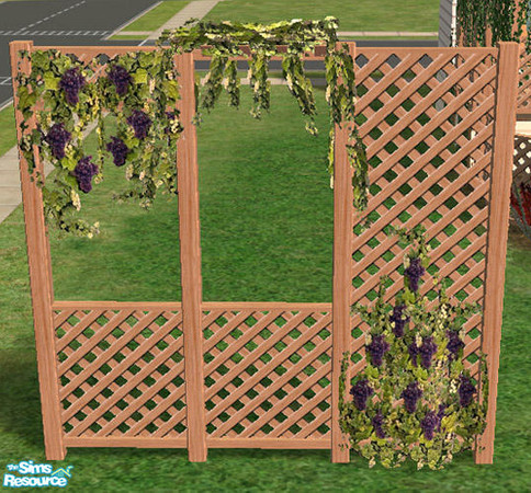 Sims 2 — Climbing Plants -  Grapes by Simaddict99 — grape vine