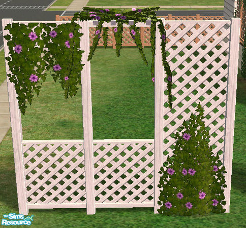 Sims 2 — Climbing Plants -  Clematis - purple by Simaddict99 — purple clematis