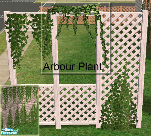 Sims 2 — Climbing Plants - Arbour Plant MESH by Simaddict99 — This is the plant to place on top of the arbour fence. Also