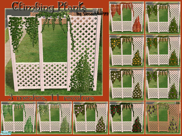 Sims 2 — Climbing Plants Set by Simaddict99 — Set consists of 3 meshes for climbing plants, plus 11 recolors.
