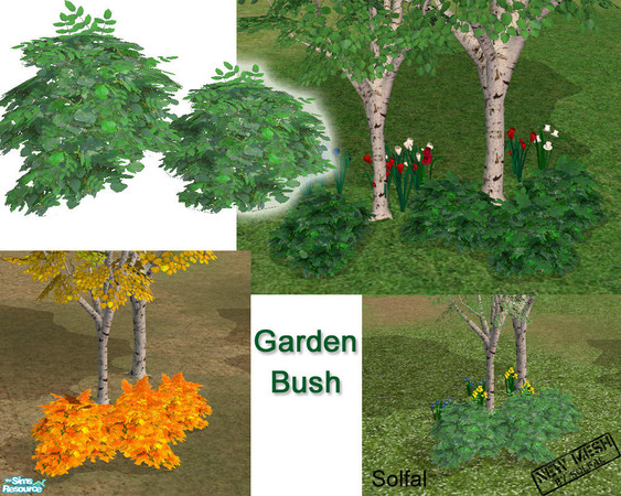 Sims 2 — Garden Bush by solfal — 1 new mesch and recolours for that, the small bush. Recolours for my bech bush Use them