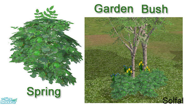 Sims 2 — Garden Bush Spring by solfal — Recolour of my Bech Bush, use it together with my garden toilet