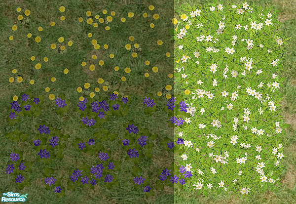 Sims 2 — Wild Spring Flowers - Wood Anemone by Bitzybus — Wild Spring Flowers - Wood Anemone.